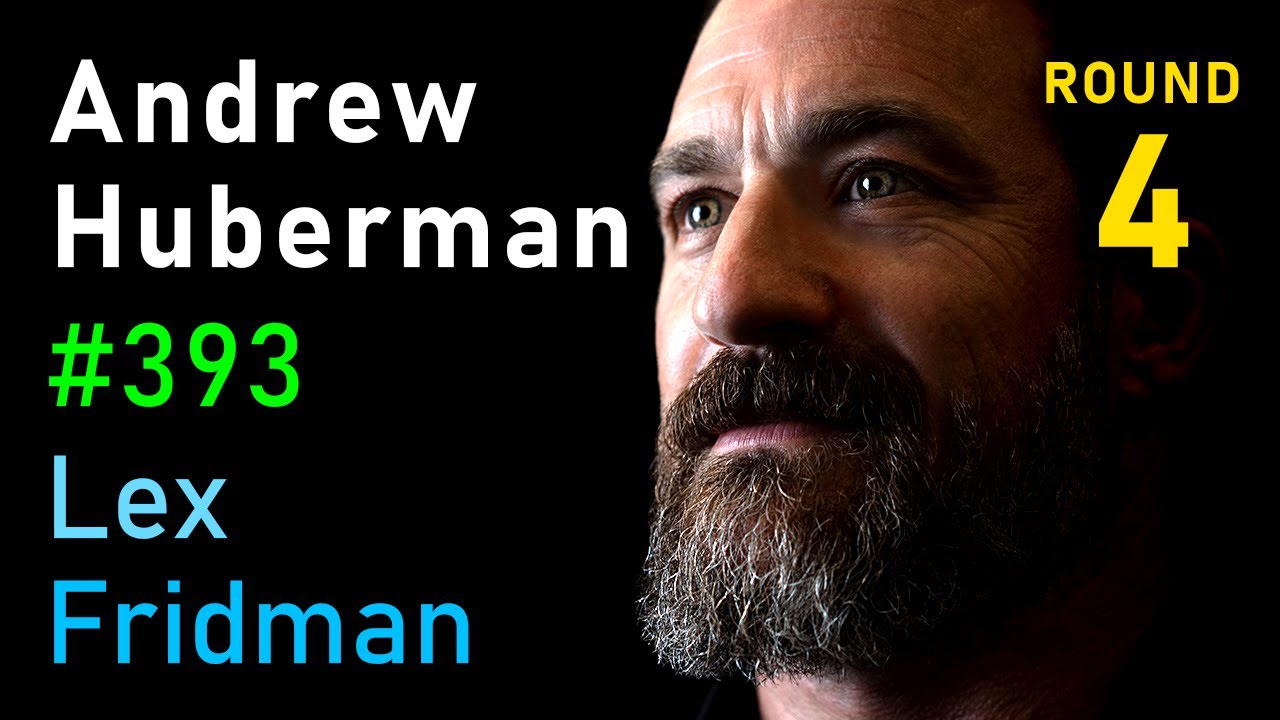 Andrew Huberman: Relationships, Drama, Betrayal, Sex, and Love | Lex Fridman Podcast #393