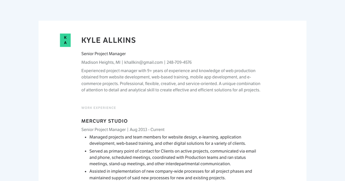 3 Real Project Manager Resume Examples (PDF & Web)