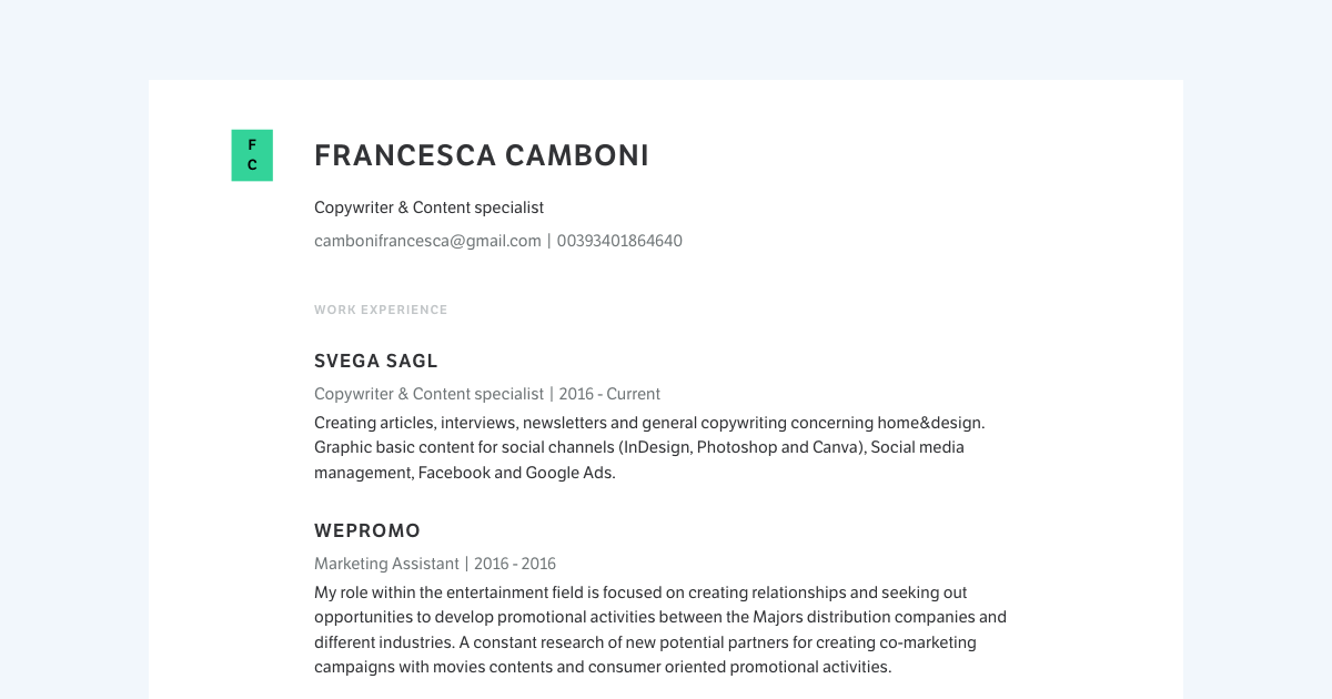 4 Real Copywriter Resume Examples (PDF & Web)