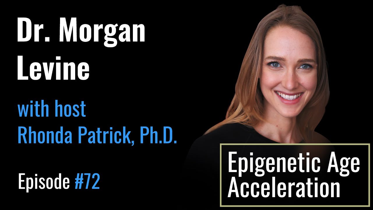 Morgan Levine, PhD, on PhenoAge and the Epigenetics of Age Acceleration — can we change the pace?