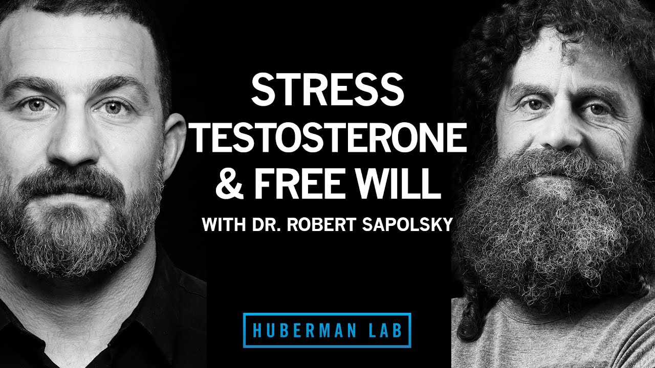 How to lower stress levels? Huberman Lab Dexa
